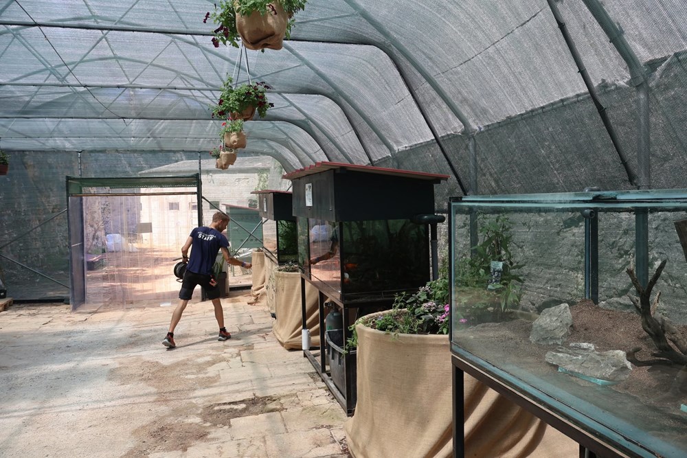 (Foto: Aquarium Pula)