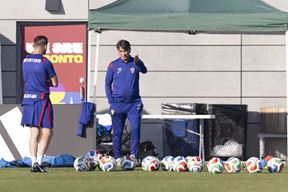 Zlatko Dalić (D. KASAP/HINA)