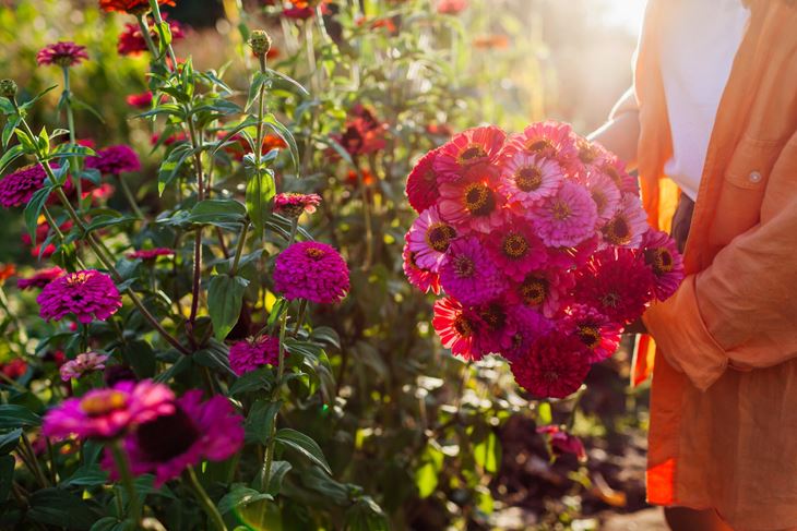 (Foto: iStock)