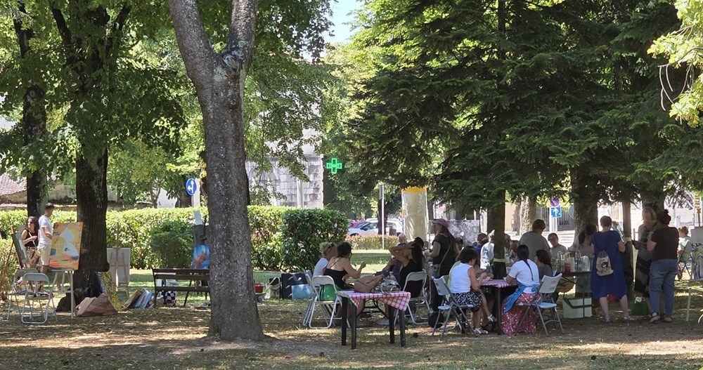 (DLS Pazin)