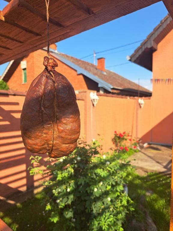 (Osobna arhvia)