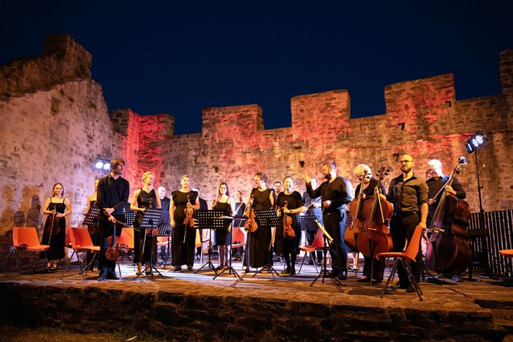 (Istarski komorni orkestar)