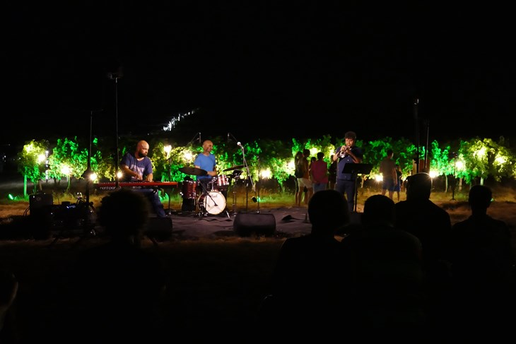 Robert Mikuljan trio s prošlih izdanja Jazz va brojde (Snimio Branko Biočić)