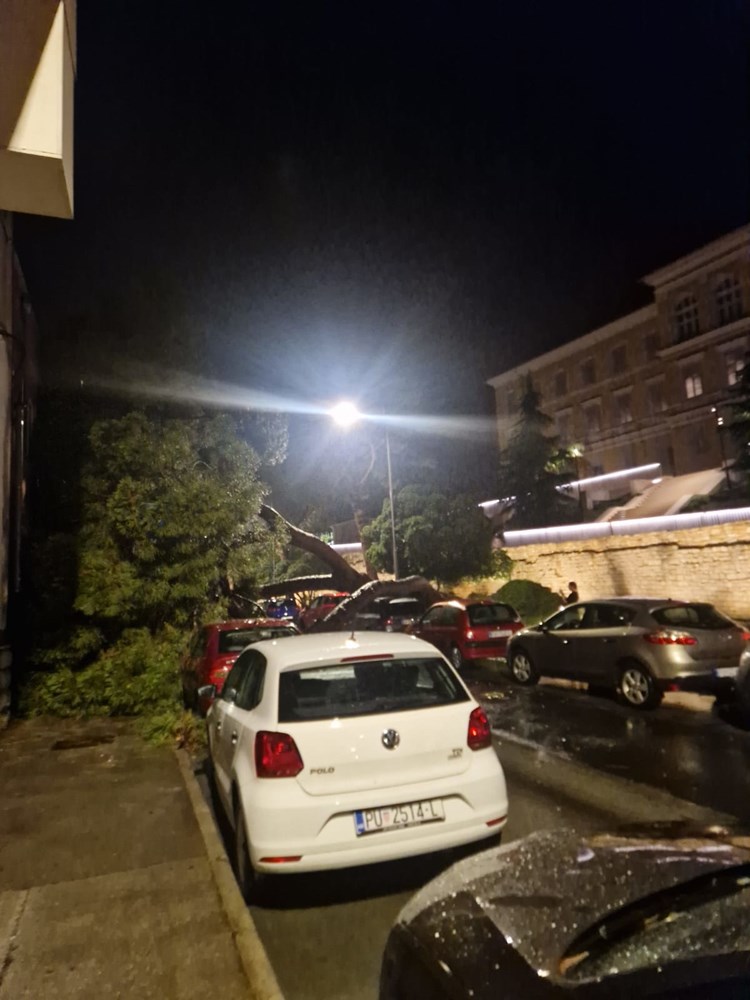 (Snimila čitateljica)