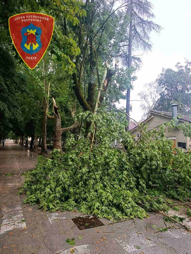 (Foto: JVP Pazin)
