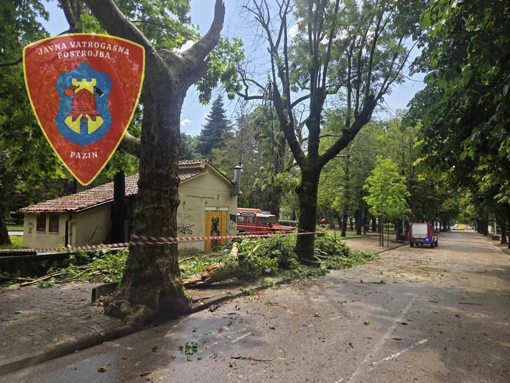 (Foto: JVP Pazin)