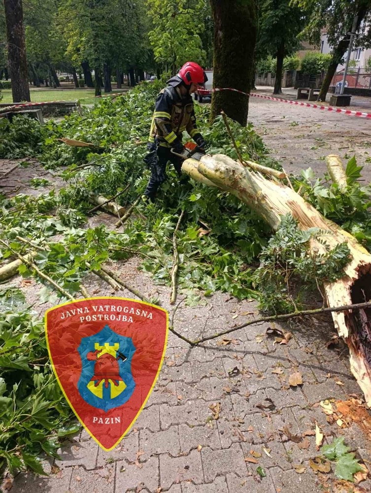 (Foto: JVP Pazin)