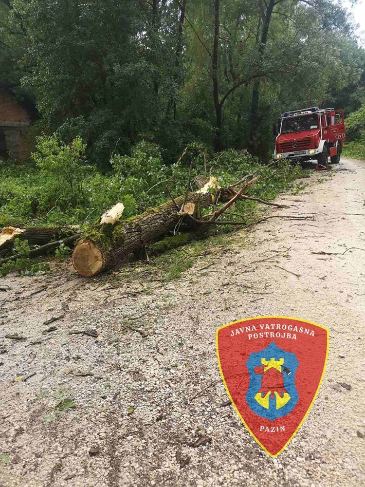 (Foto: JVP Pazin)