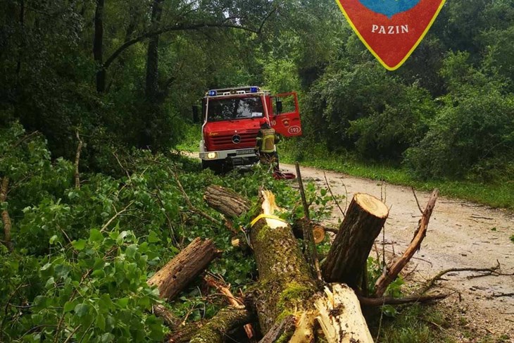 (Foto: JVP Pazin)