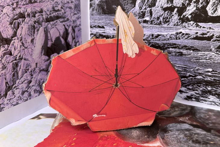 (Foto: Galerija Rigo)