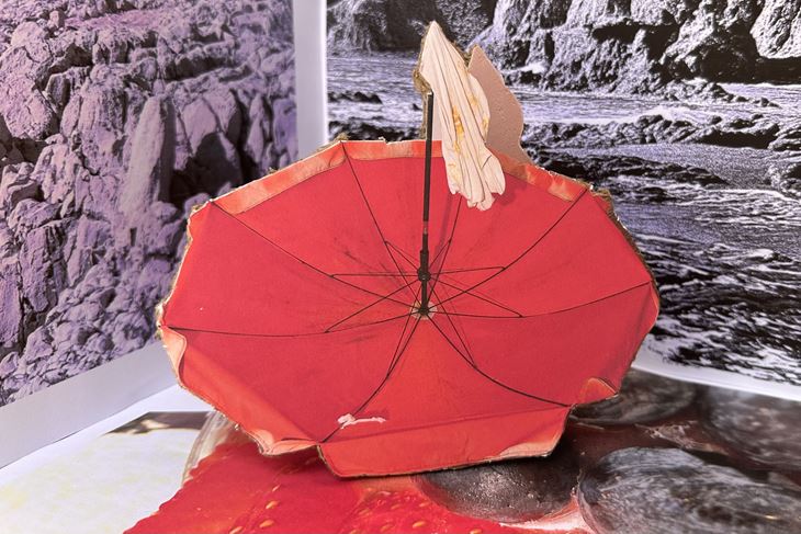 (Foto: Galerija Rigo)
