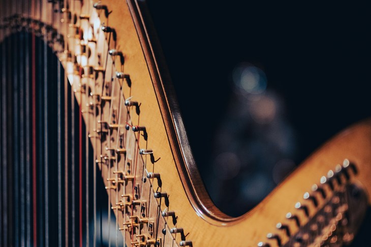 Ilustracija (Unsplash)