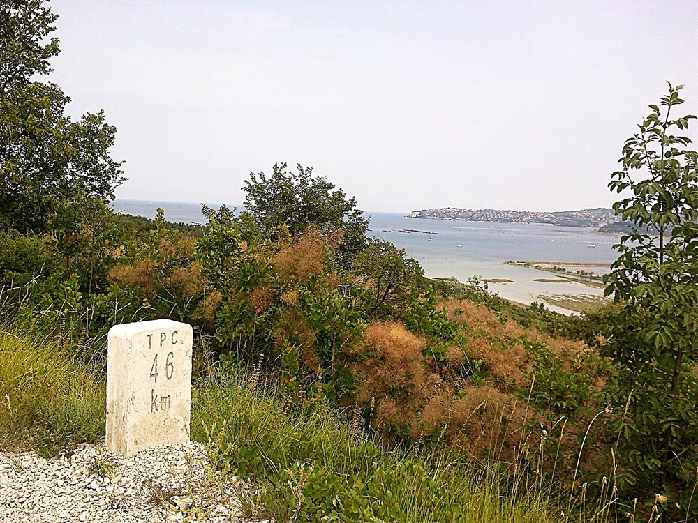 (Arhiva)