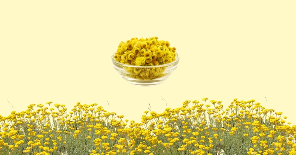 (Zelena Istra)