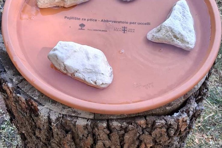 (Foto: Pula Herculanea)