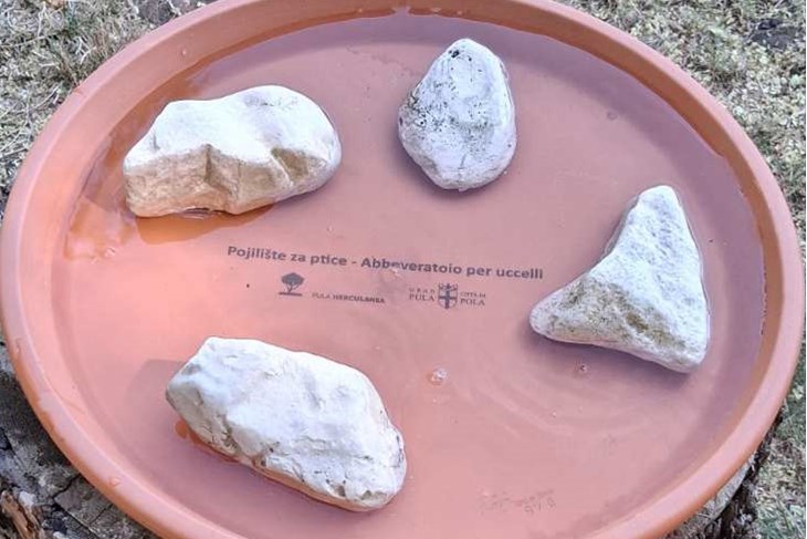 (Foto: Pula Herculanea)