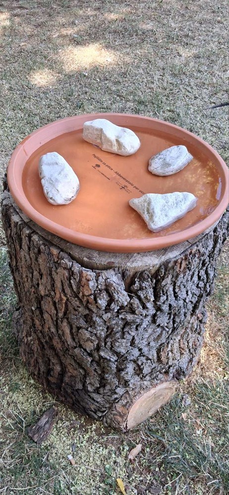 pojili&scaron;te za ptice (Foto: Pula Herculanea)