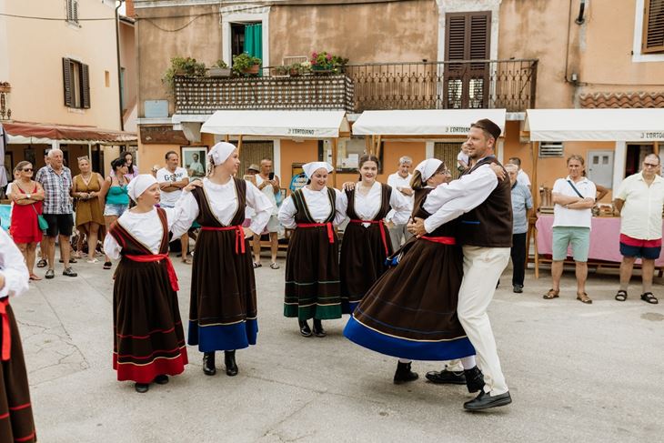 (TZO Brtonigla)