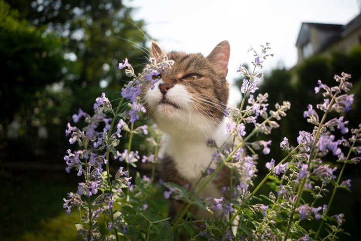 (Foto: iStock)
