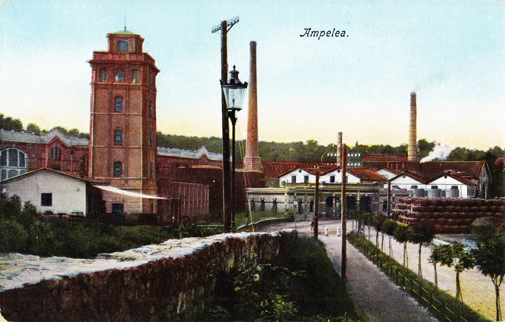 (Privatna arhiva)