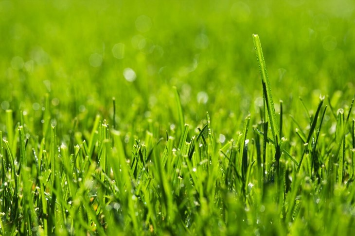 (Foto: iStock)