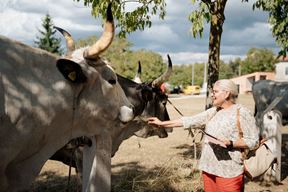 (Foto TZ Kanfanar)