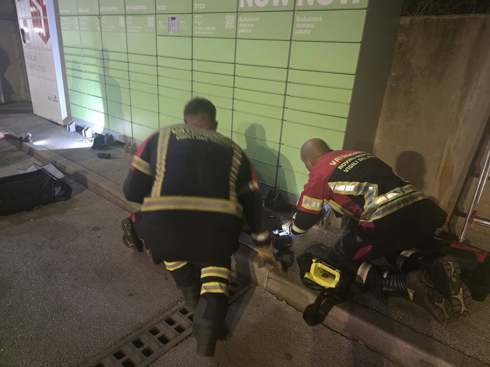 (Foto: Facebook / Udruga &Scaron;ape Rovinj)