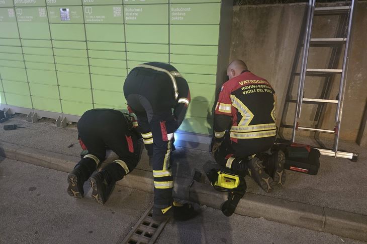 (Foto: Facebook / Udruga Šape Rovinj)