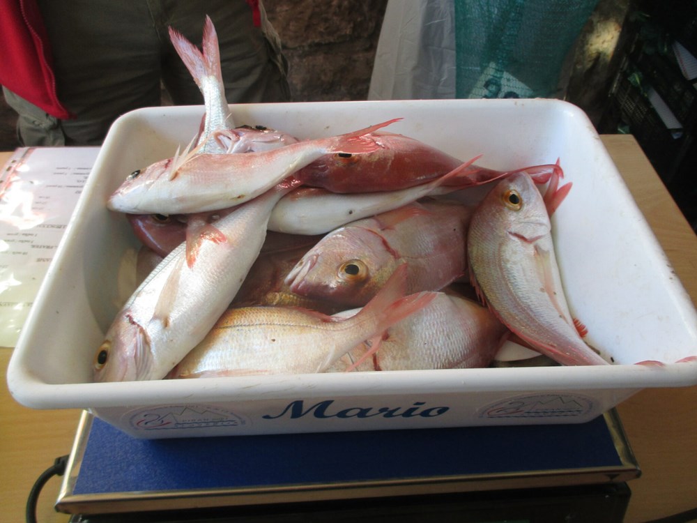 (Osobna arhiva)