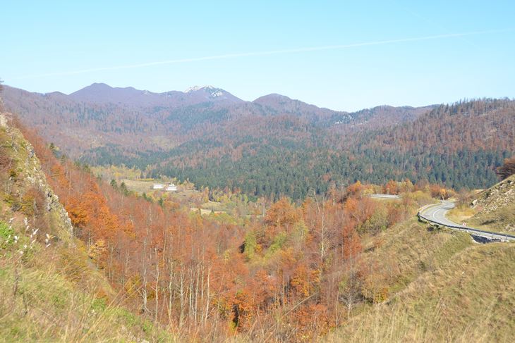 (Arhiva)