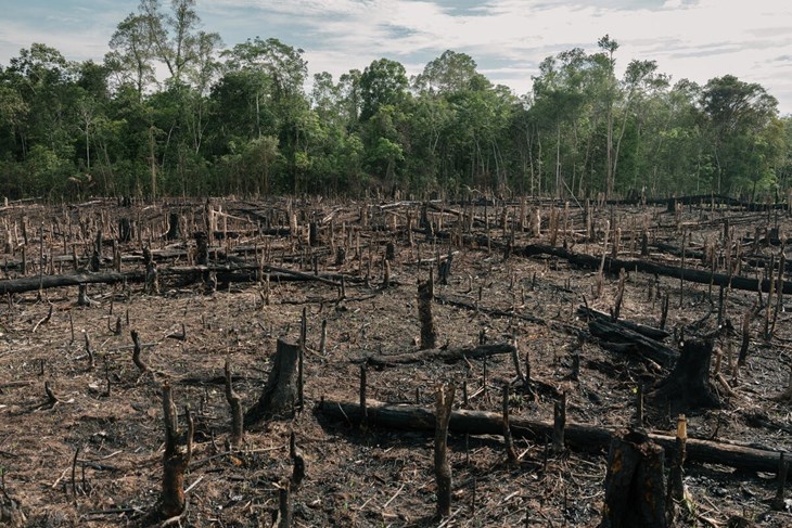 (Foto WWF)