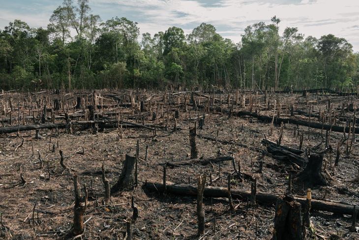 (Foto WWF)