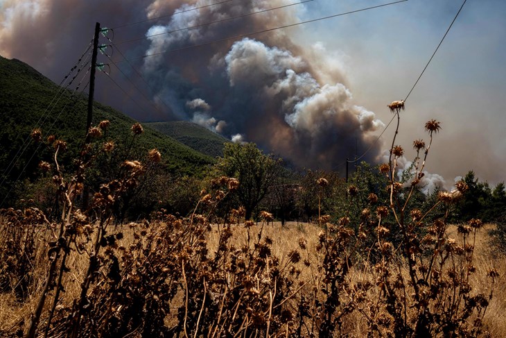 (Foto: Angelos TZORTZINIS / AFP)