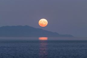(Unsplash)