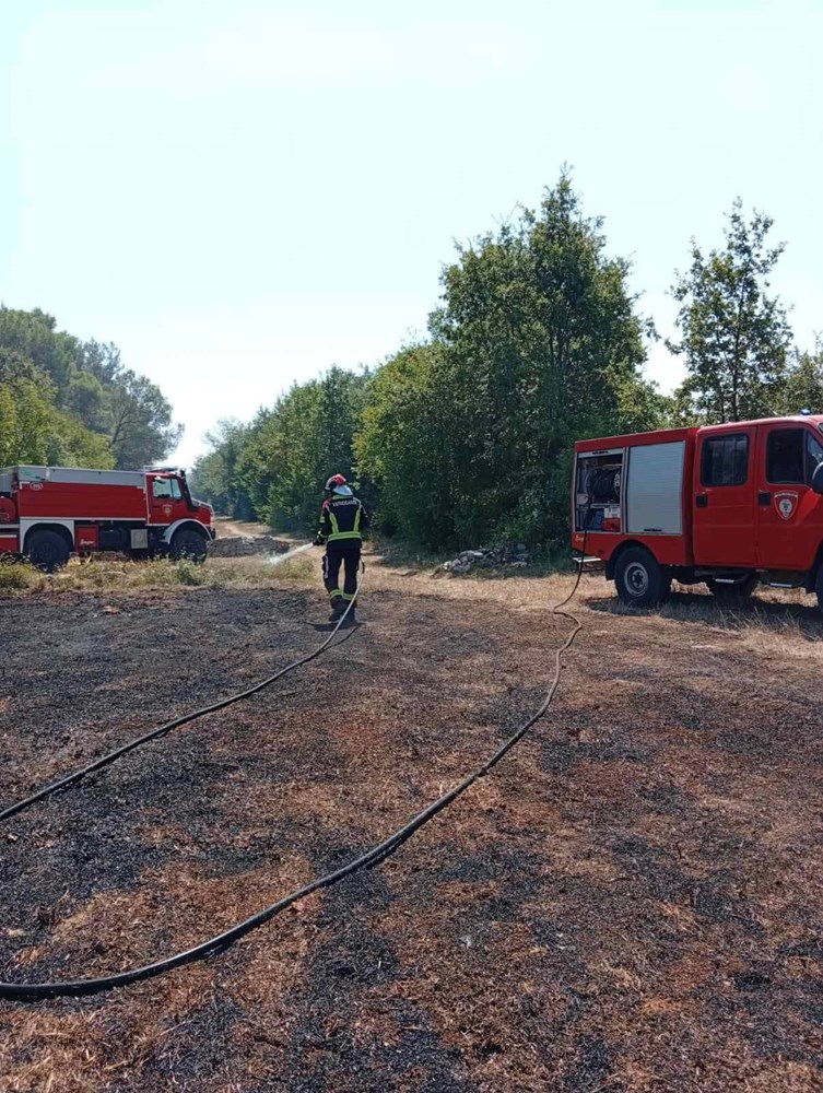 (Foto: DVD Vodnjan)