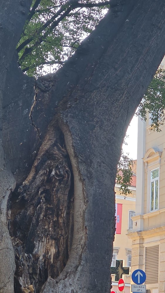 (Grad Pula)