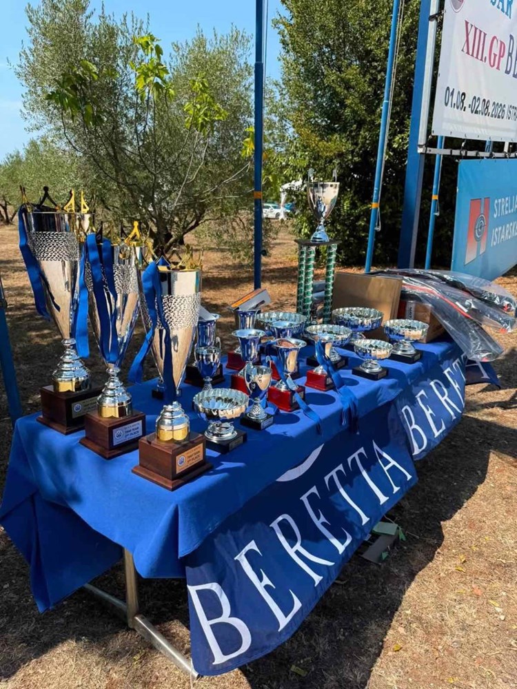 (Grad Novigrad)