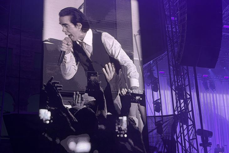 Nick Cave (Snimio Nikola Pušonjić)