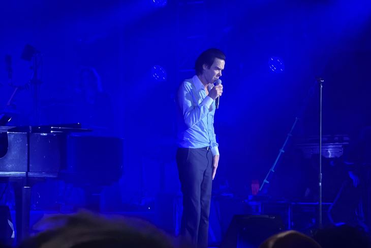 Nick Cave (Snimio Nikola Pušonjić)