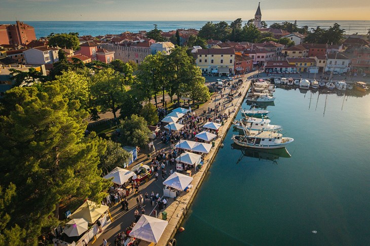 (TZ Novigrad)