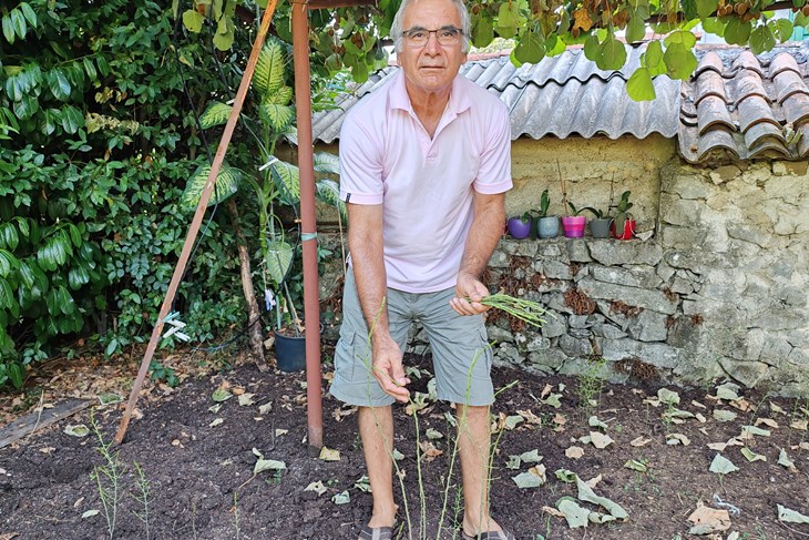 (Snimio Branko Biočić)