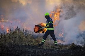 (Prijatelji životinja)