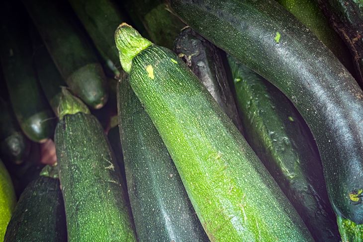Ilustracija (Pexels)