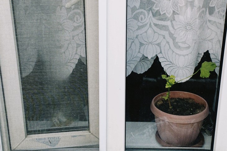  Ilustracija (Pexels)