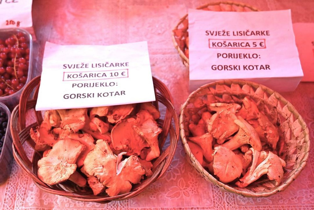 (Snimila Nina Ljubić)