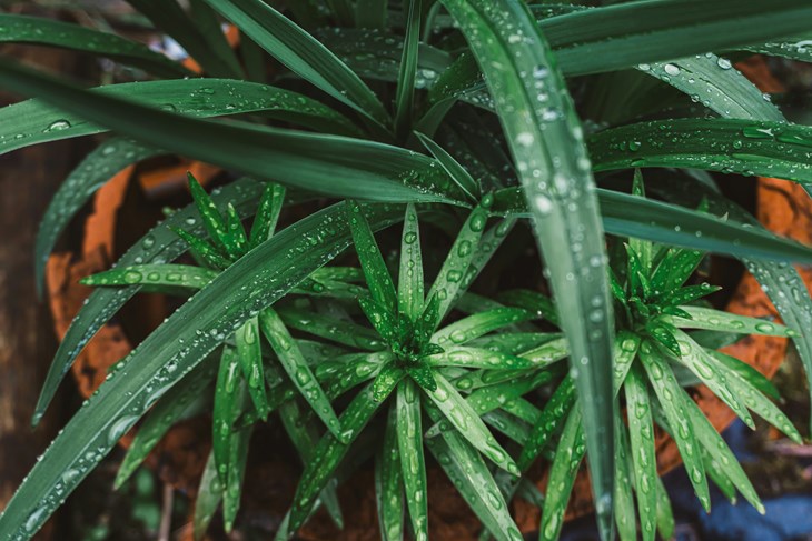 (Unsplash)