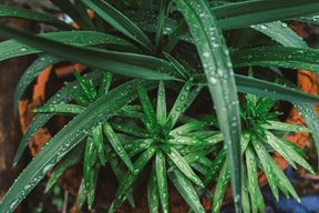 (Unsplash)