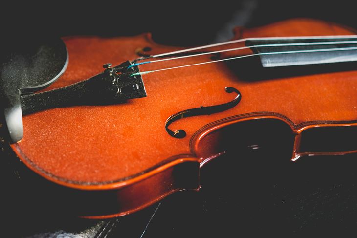 (Unsplash)