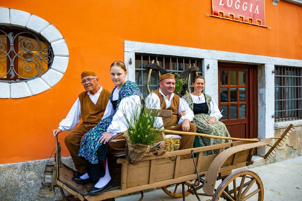 (TZ Vodnjan)