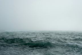 (Unsplash)